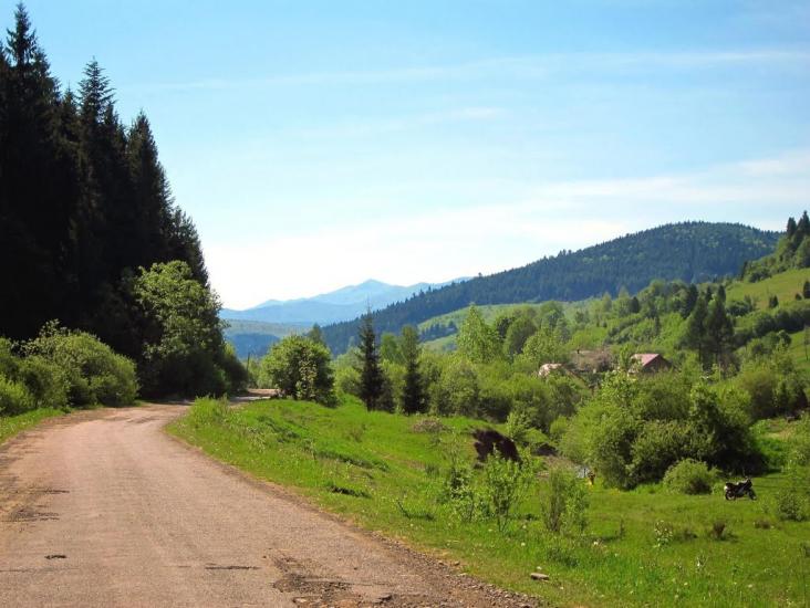 Старий Кропивник з panoramio.com - Старый Крапивник