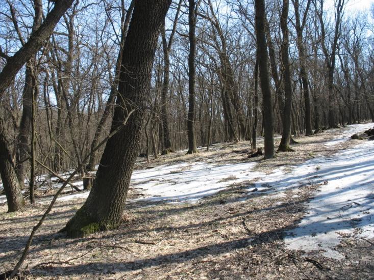 Сєверне з panoramio.com - Syeverne