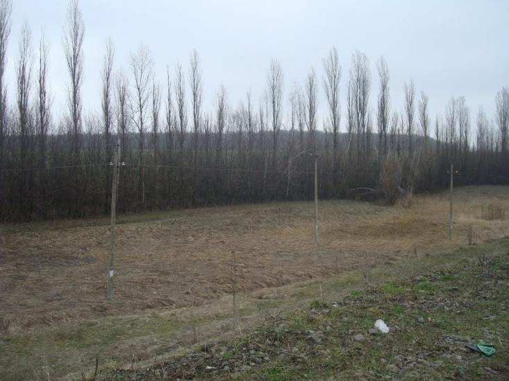 Стодульці з panoramio.com - Stodultsi