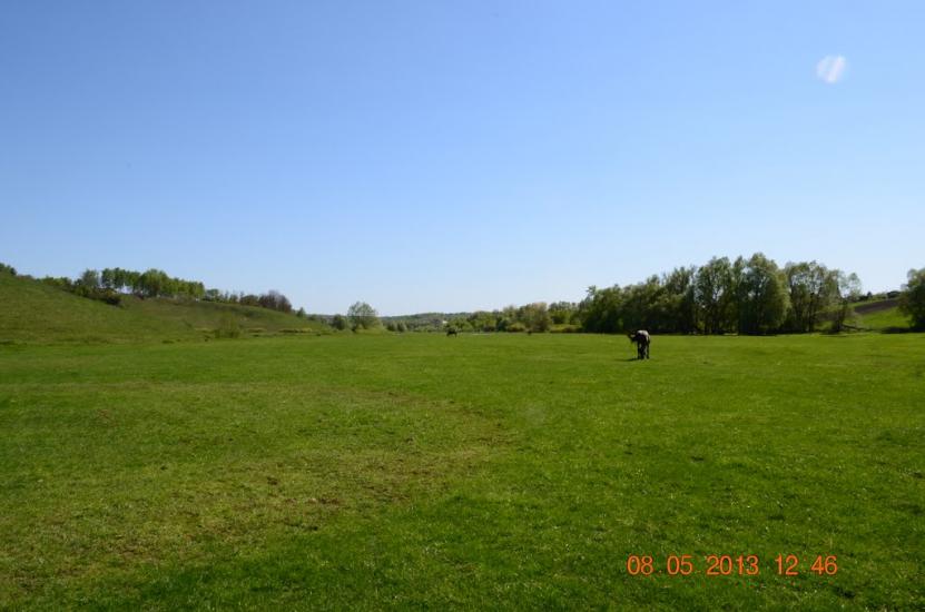 Нова Слобода з panoramio.com - Новая Слобода