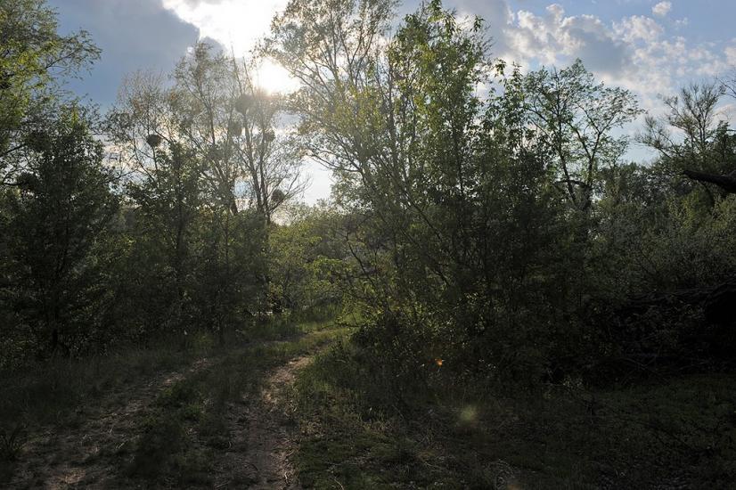 Богородичне з panoramio.com - Богородичное