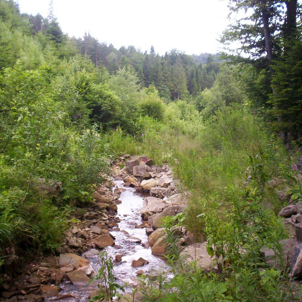 Кам'янка з panoramio.com - Каменка