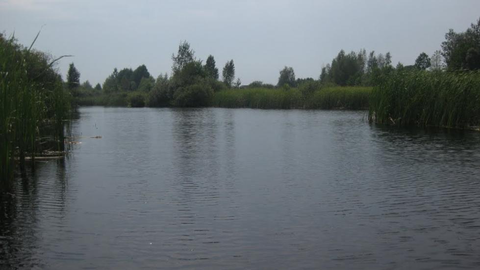 Велимче з panoramio.com - Велимче