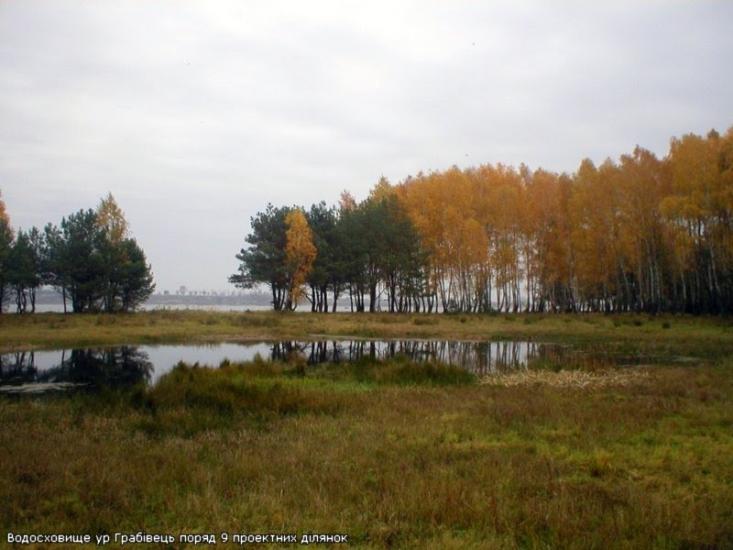 Набережне з panoramio.com - Набережное