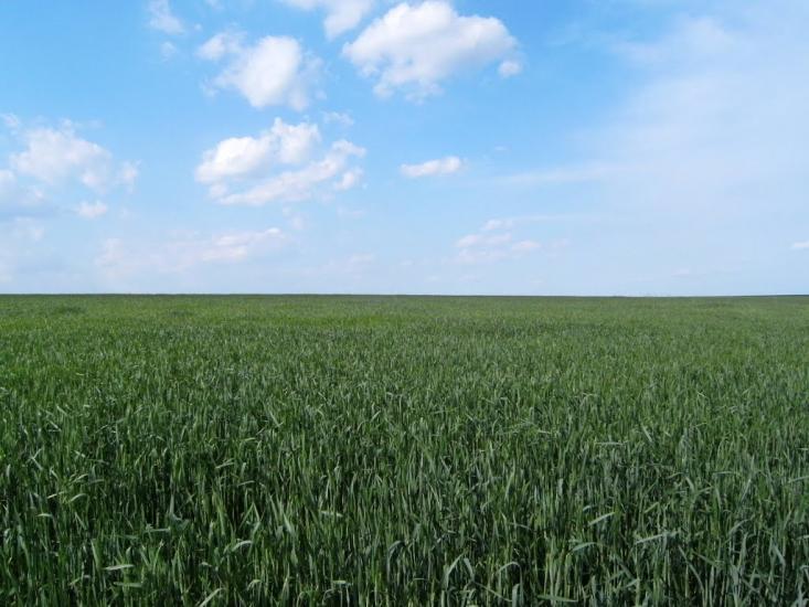 Висока Яруга з panoramio.com - Висока Яруга