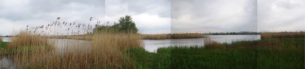 Дніпровське з panoramio.com - Dniprovske