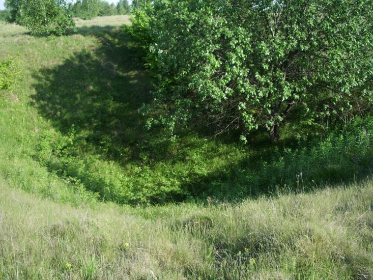 Городиська з panoramio.com - Городиська