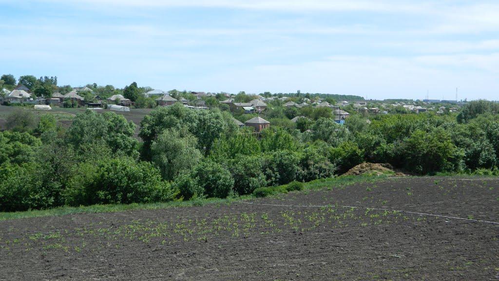 Кам'яна Яруга з panoramio.com - Кам'яна Яруга