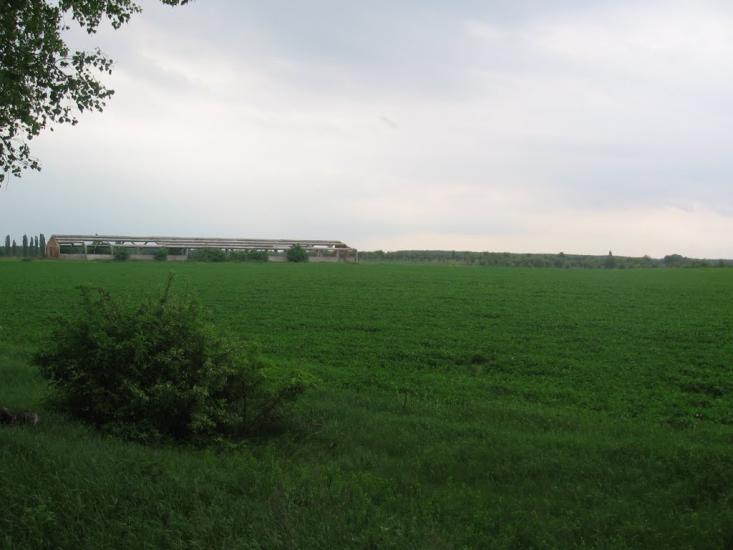 Халявин з panoramio.com - Халявин