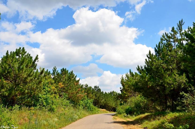 Алтестове з panoramio.com - Алтестово