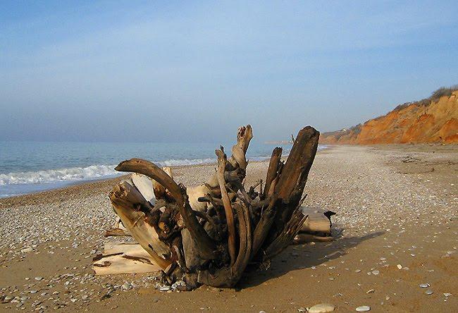 Любимівка з panoramio.com - Любимовка