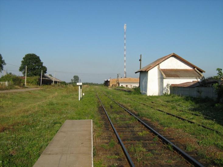 Заболоття з panoramio.com - Заболоття