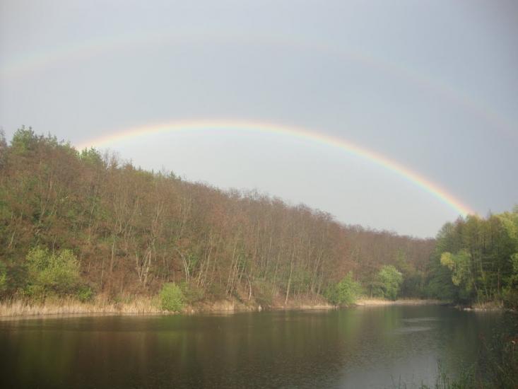 Халеп'я з panoramio.com - Халепье
