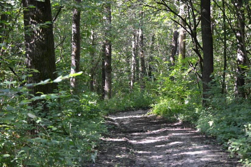 Грабовське з panoramio.com - Грабовское