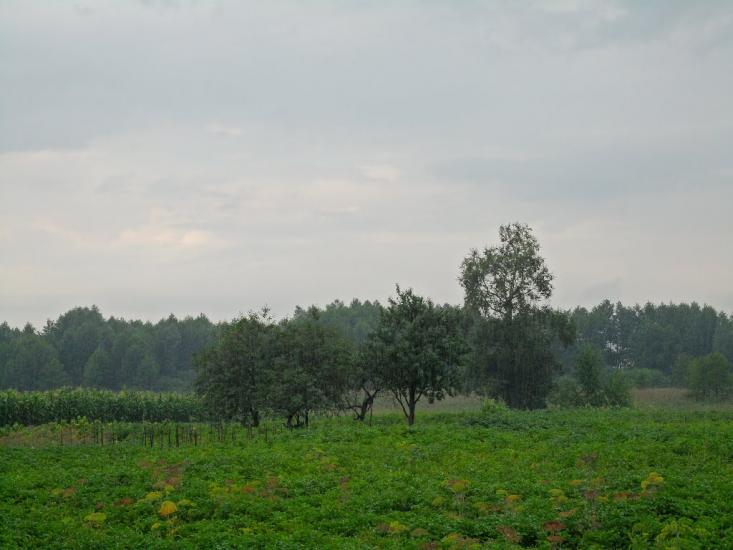 Сніжна з panoramio.com - Сніжна