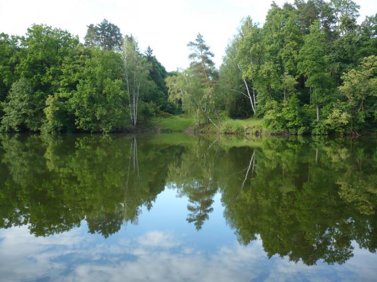 Васьківці з panoramio.com - Васьковцы