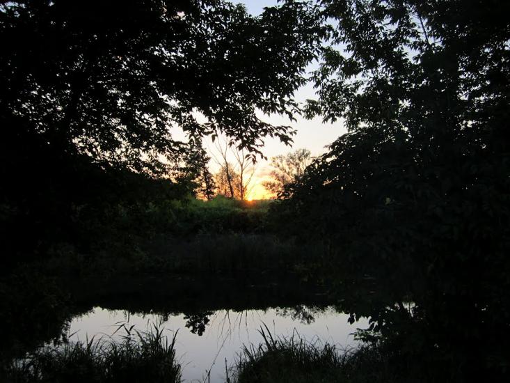 Стоянка з panoramio.com - Стоянка