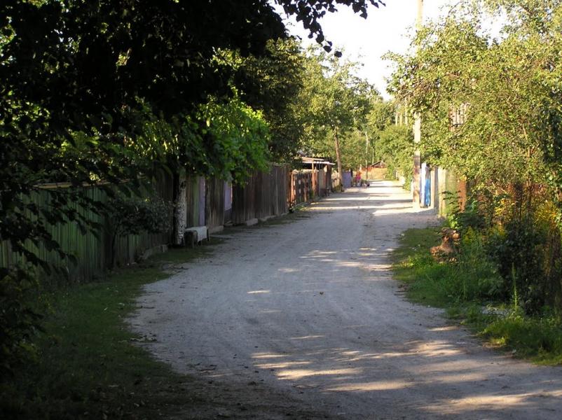 Нова Ушиця з panoramio.com - Нова Ушиця