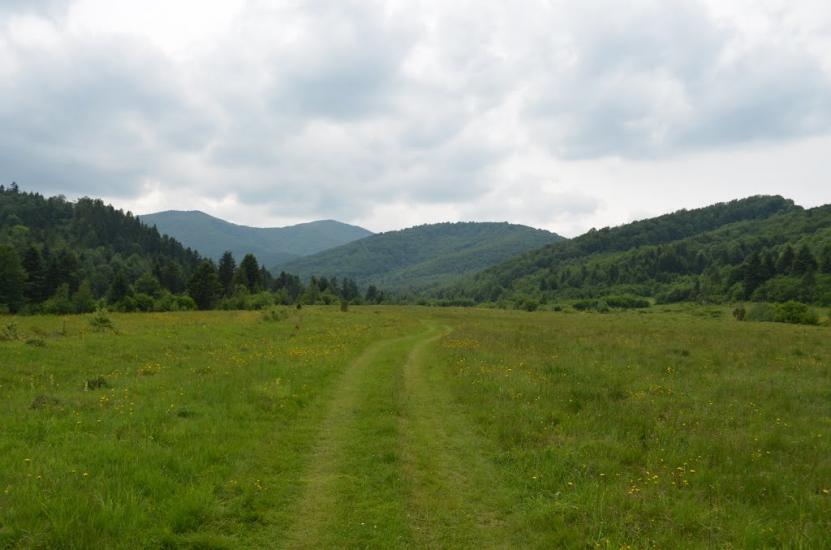 Крушельниця з panoramio.com - Крушельница