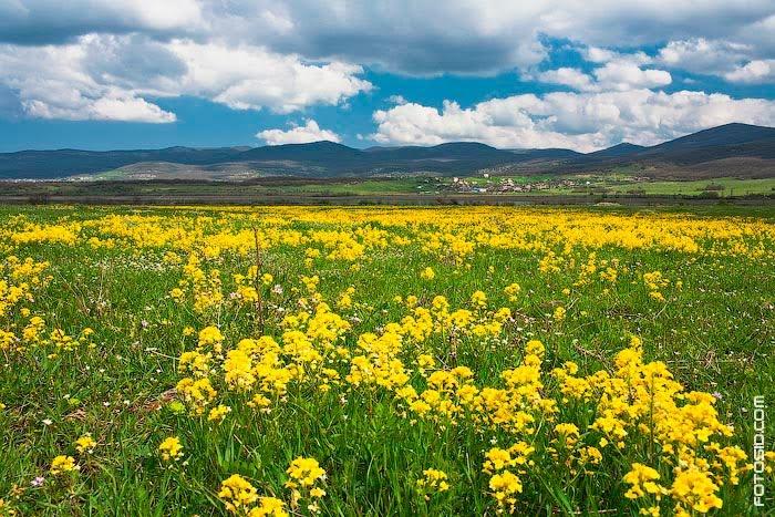 Родниківське з panoramio.com - Родниковское