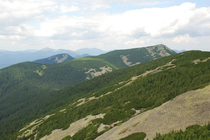 Черник з panoramio.com - Черник