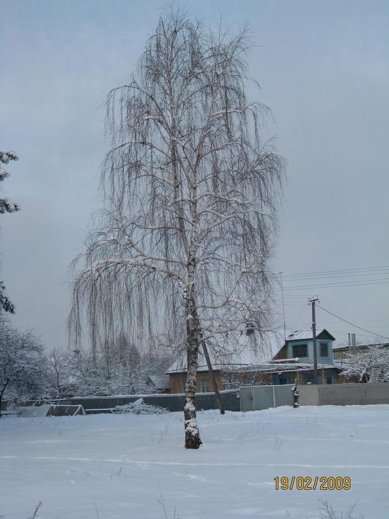 Лютіж з panoramio.com - Лютеж