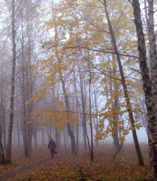 Глеваха з panoramio.com - Глеваха