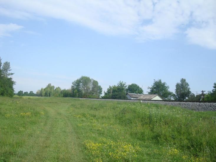 Мокіївці з panoramio.com - Мокіївці