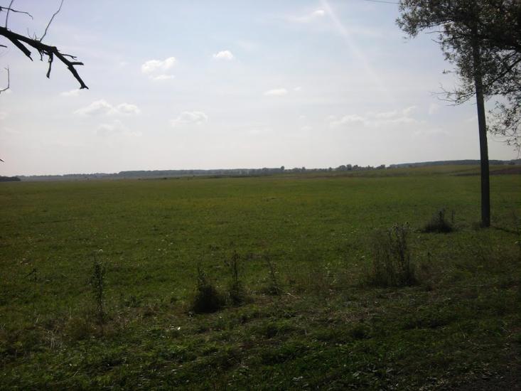 Терехівка з panoramio.com - Тереховка