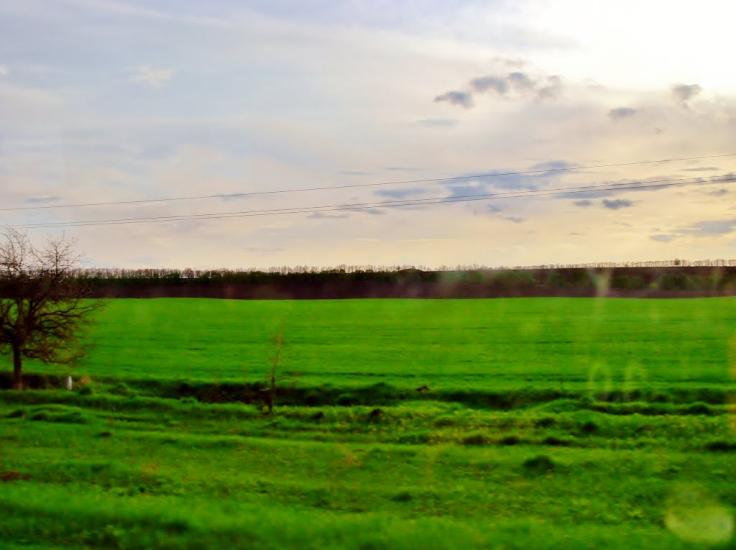 Неморож з panoramio.com - Неморож