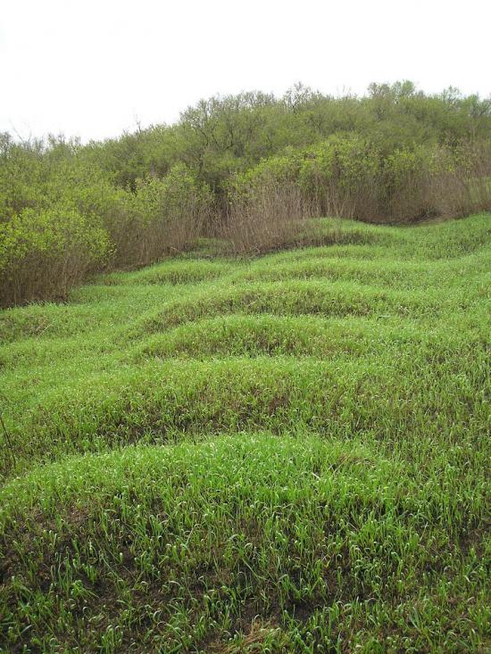 Нова Прага з panoramio.com - Нова Прага