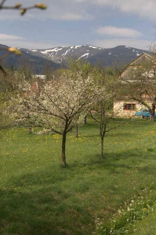 Пилипець з panoramio.com - Pylypets