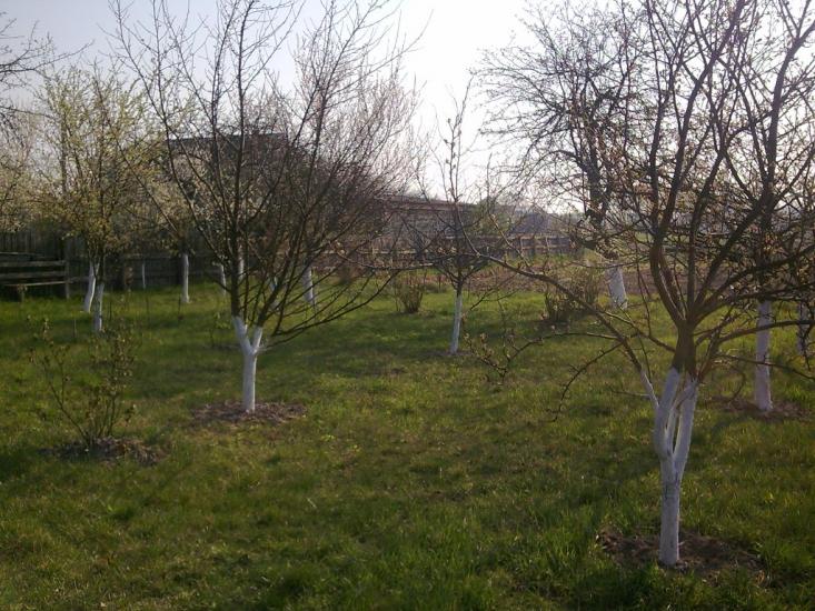 Ставки з panoramio.com - Ставки