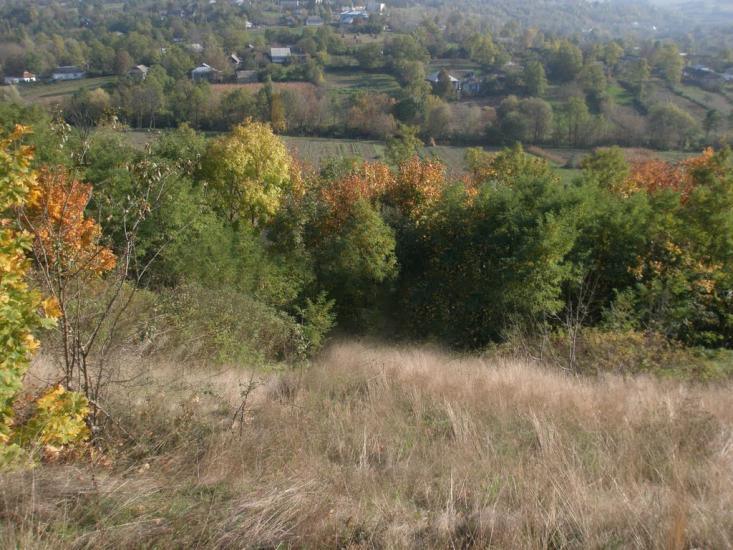 Покутине з panoramio.com - Покутине