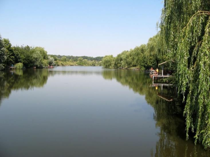 Комуніст з panoramio.com - Коммунист