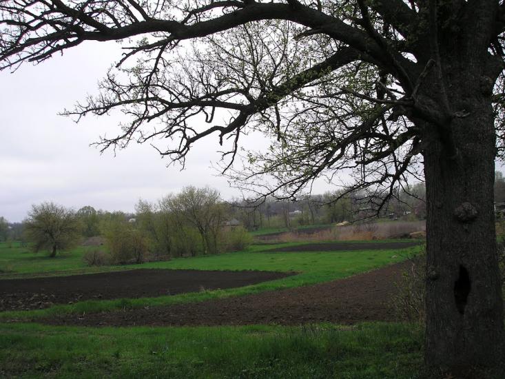Нова Прага з panoramio.com - Нова Прага