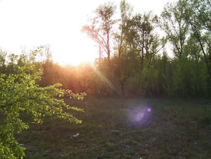 Самусіївка з panoramio.com - Самусіївка
