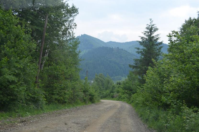 Рибник з panoramio.com - Rybnyk