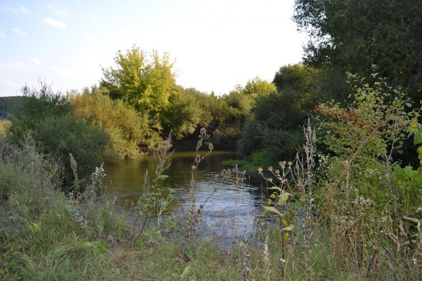 Романівка з panoramio.com - Романівка