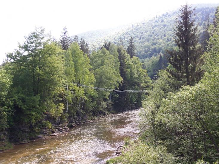 Новий Мізунь з panoramio.com - Novyy Mizun