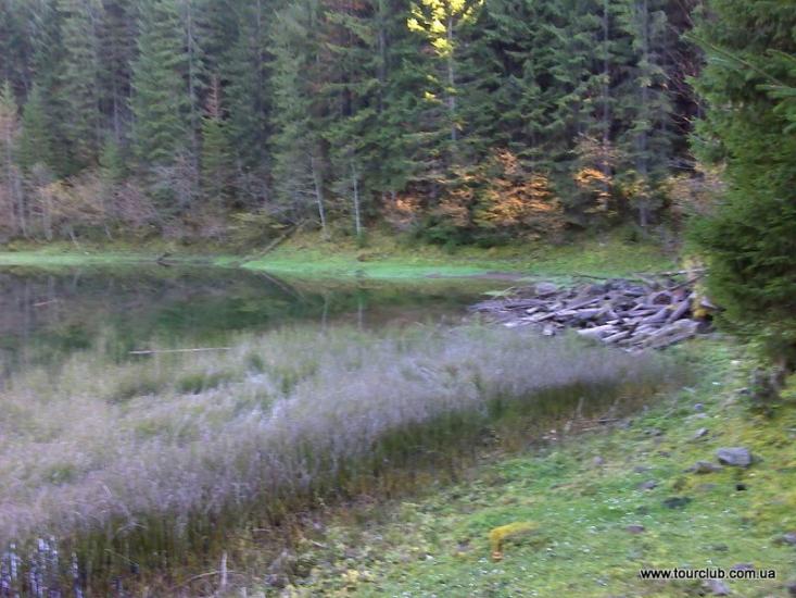 Бистриця з panoramio.com - Быстрица