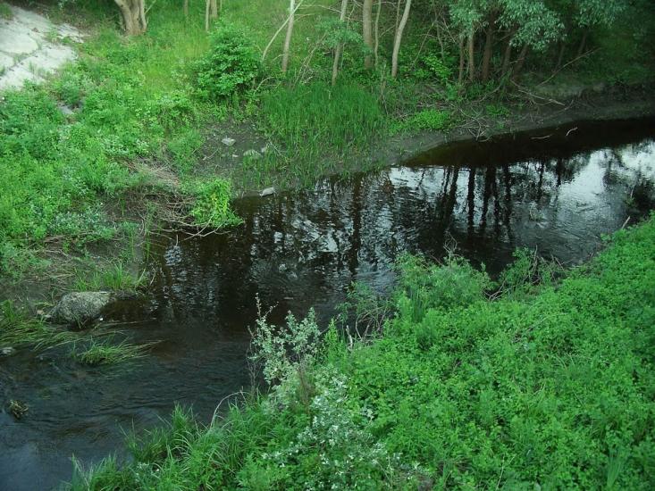 Говтва з panoramio.com - Govtva