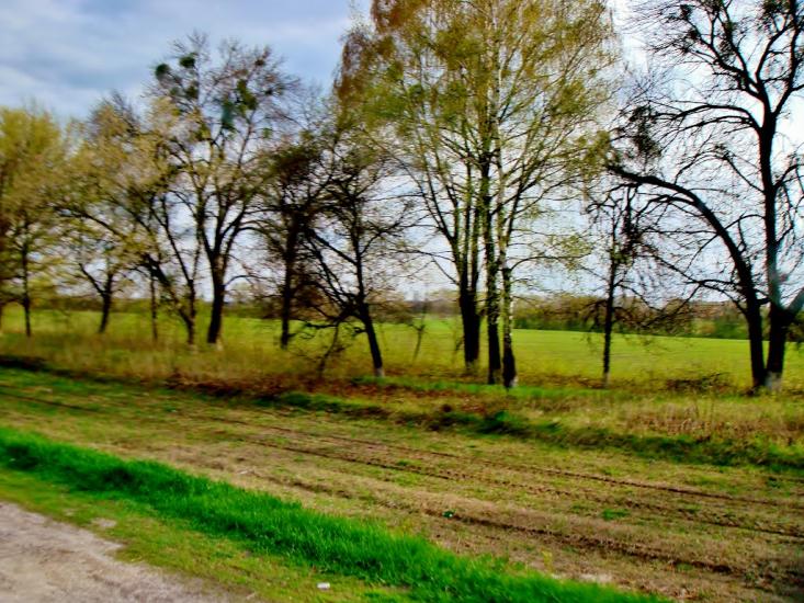 Лук'янівка з panoramio.com - Лук'янівка