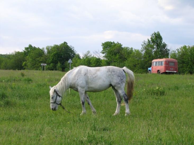 Тошківка з panoramio.com - Тошківка