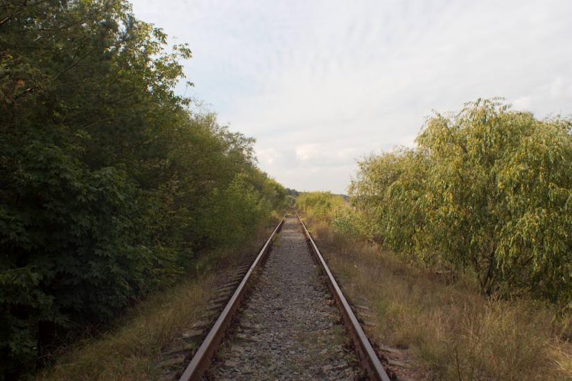 Зазим'я з panoramio.com - Зазим'я