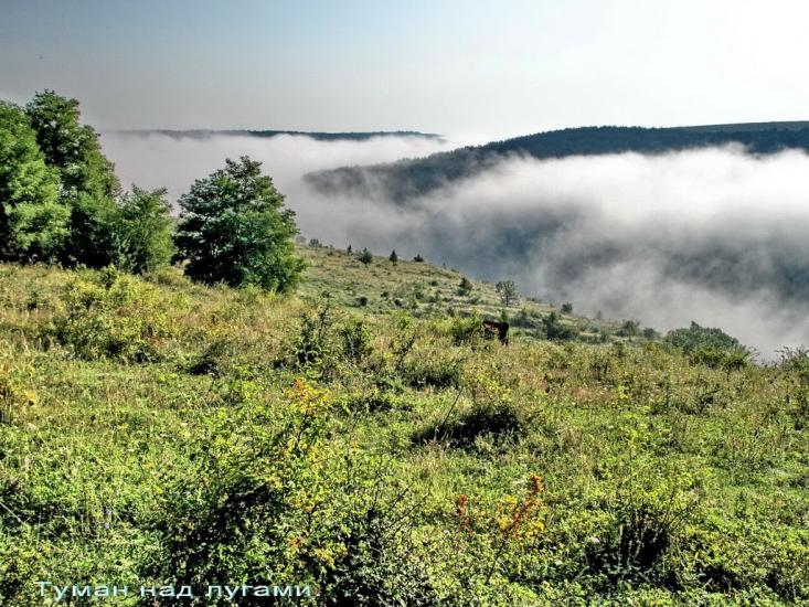 Стрільче з panoramio.com - Стрельче