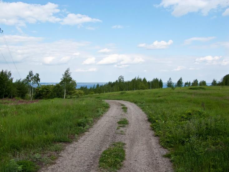 Луковиця з panoramio.com - Луковица