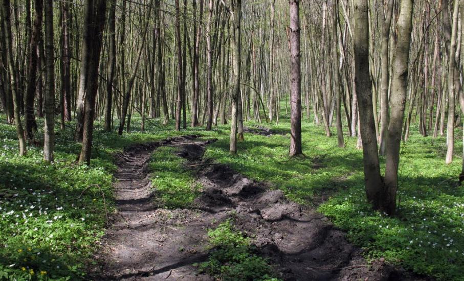 Руда-Колтівська з panoramio.com - Руда-Колтівська