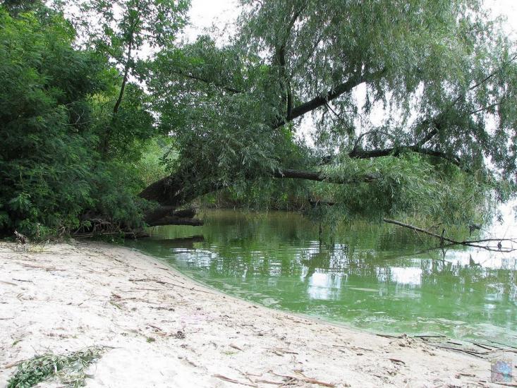 Мартове з panoramio.com - Мартово