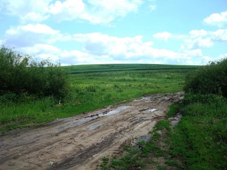 Давидківці з panoramio.com - Давыдковцы